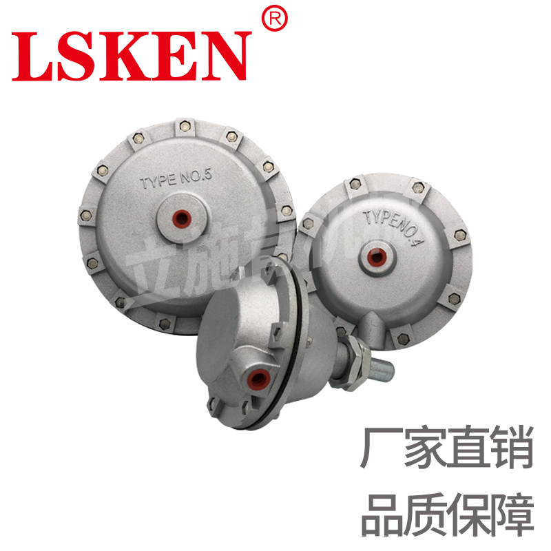 DBH空压碟式制动器5#气缸气鼓气囊TYPE NO.4气包DBG蝶刹缸3号皮碗