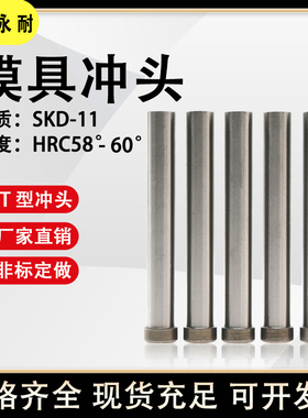 SKD-11冲头模具配件T型冲针16.5-17-17.5-18-18.5-19-19.5-20定做