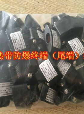 伴热带防爆终端接线盒ZJH-3伴热电缆尾端接线盒伴热带堵头220V