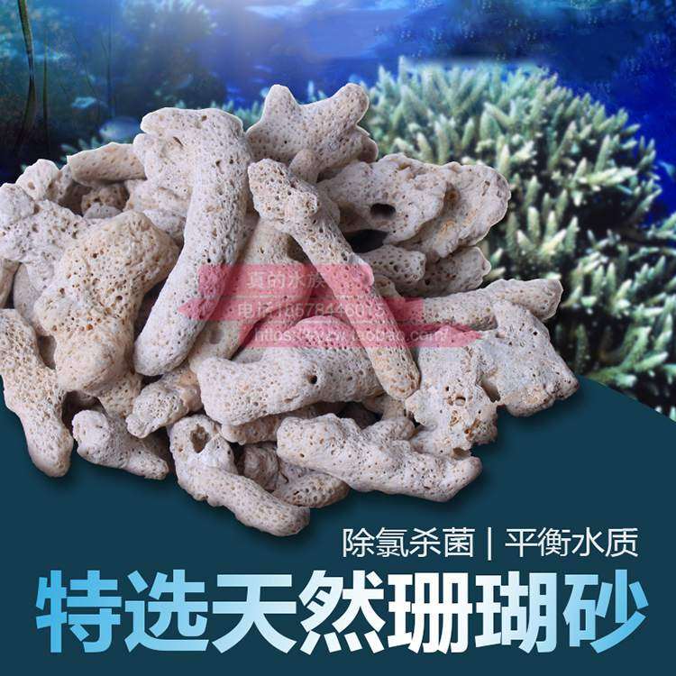 鱼缸滤材优质珊瑚砂珊瑚石碎珊瑚骨装饰水族造景PH天然石骨底沙