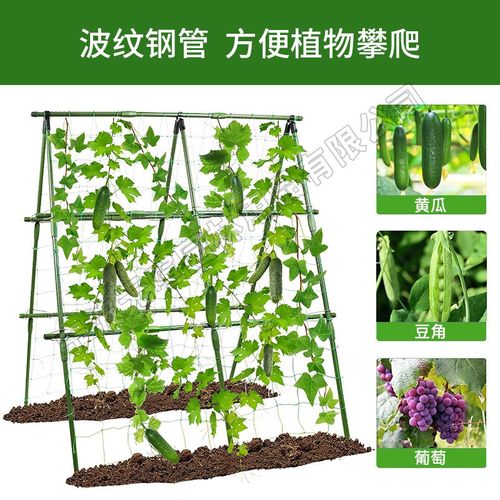 菜园子爬藤架攀爬架丝瓜支撑架攀爬架庭院蔬菜大棚支撑杆植物架子