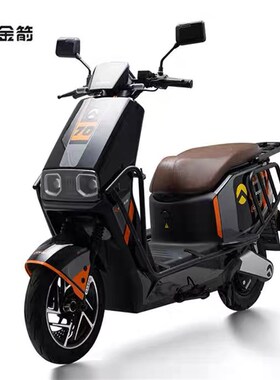 金箭电动车新款700PLUS电动两轮摩托车带TCS坡道辅助智能