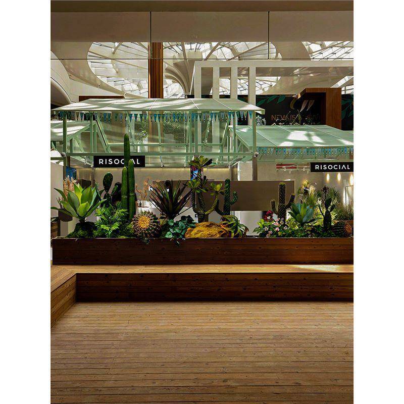 仿真绿仙人掌景内观造景室商场门C19店展厅装饰大型合假植植物组