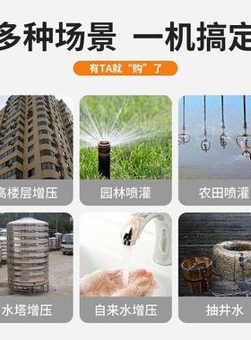 4广东凌霄牌水泵1ZDB35/DJC5/65型自吸清泵水家用自来抽水机水增