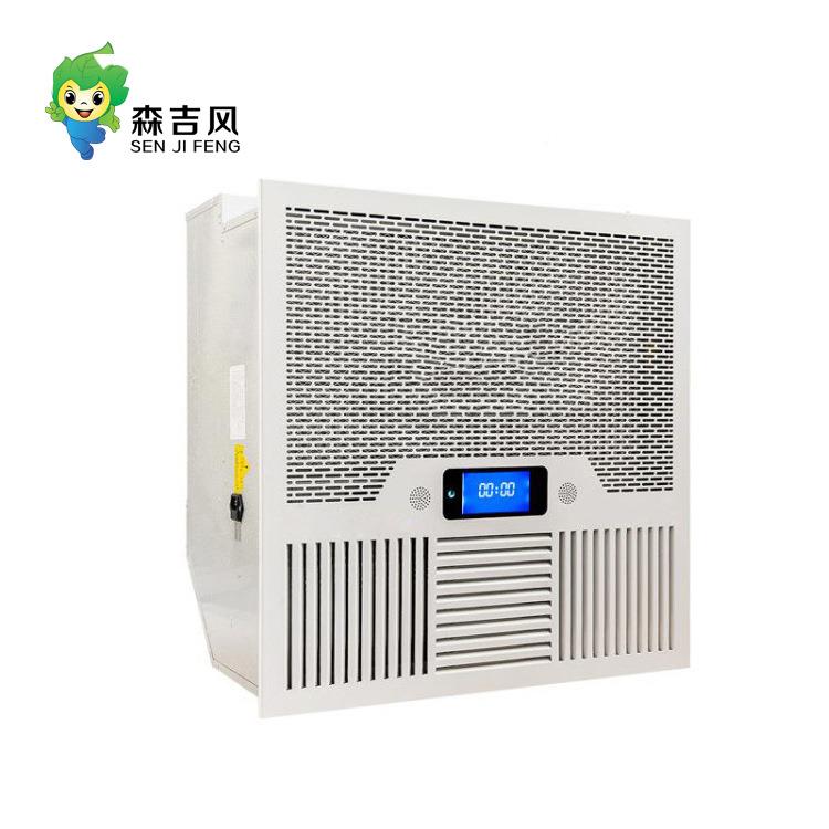吸式空气消毒家装装顶修除味除尘一体化空气处理净化器sj-DD01-系