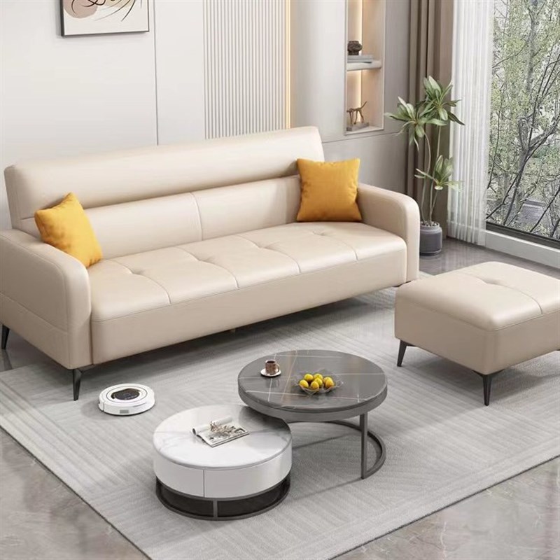 小户型双人沙发两用客厅现代简约轻奢奶油风出租房公寓民宿沙发床