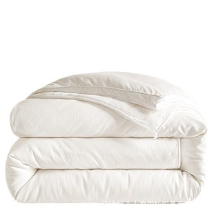 大豆纤维秋冬季 蚕丝 加厚被子芯冬被 通用二合一拉链款 子母被四季