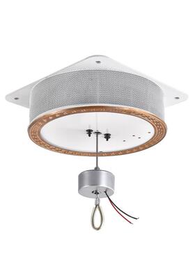 别墅灯灯具升降器别墅灯智能电备动升降设承重（20-别墅灯升230kg