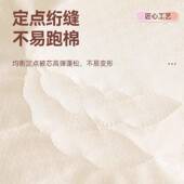 大豆纤维被子被芯厚保暖单双人春秋被被棉被通宿加舍xyj2515冬四