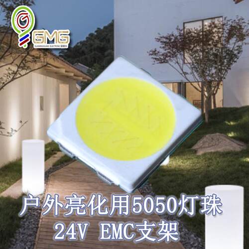 50VWS50白光户外灯景观化明高2压4V灯珠白光贴片LE照D5050白亮光