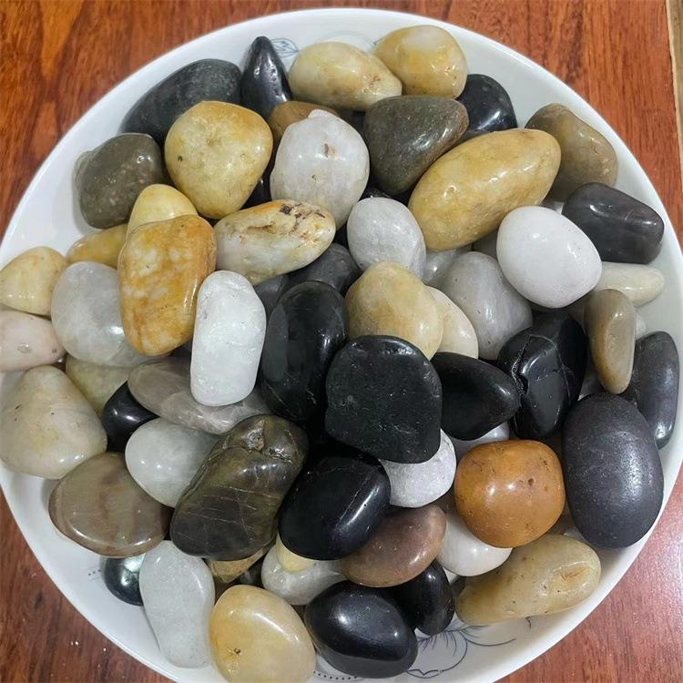 卵石雨花石鱼缸花雨艺鹅花86石庭院装饰园五彩抛光雨花石景盆石