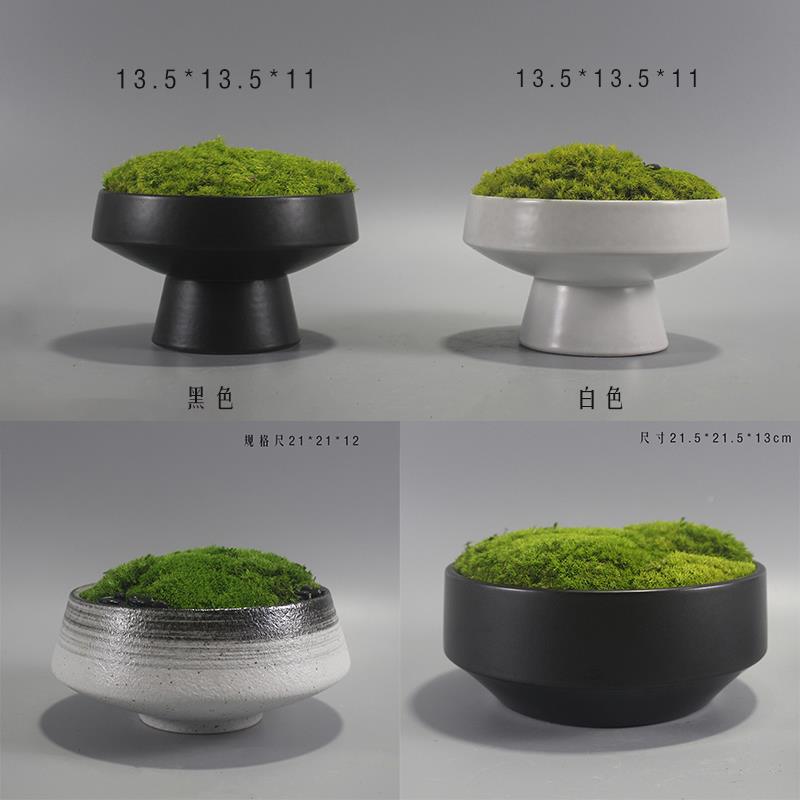 新微式现代永生苔绿藓装饰盆景F759J5TT景观样板间售楼处办公中室