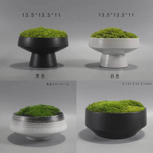 新微式现代永生苔绿藓装饰盆景F759J5TT景观样板间售楼处办公中室