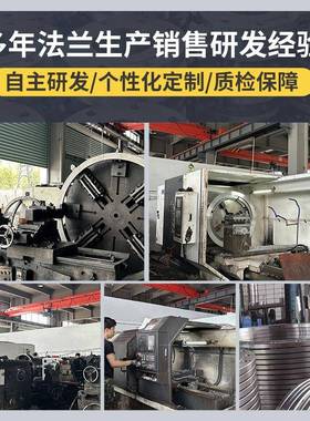 304/316JTE不锈法钢人定锻孔法兰片焊接法兰盘高压造手孔兰可制