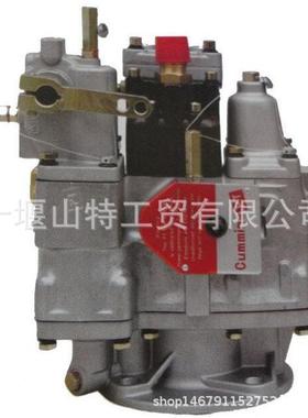 P80灭火2泵适发动机NT855-P2油380燃泵PT泵4192NT85516