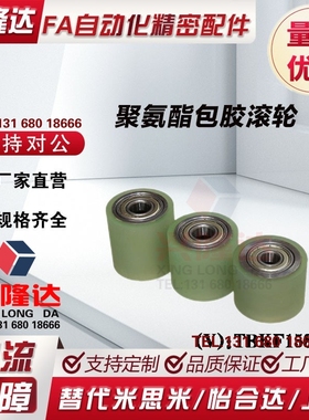 E-QAC84/85/86/87-25/30/35/40/50-L20/30/40/50/100滚轮轴承包胶