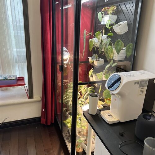 热带植物柜室内温室养殖柜生态y简约热植柜闷养花烛柜热植柜洞洞