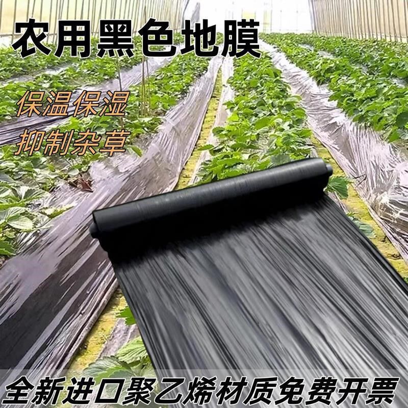 除草地膜黑农用种植果园蔬菜防草种菜黑色地膜果树塑料薄膜厂家