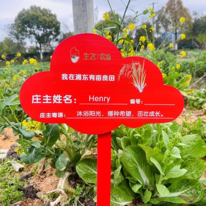 实木植物标签牌菜园幼儿园木质插地牌户外指示标识牌告.示木牌园图片
