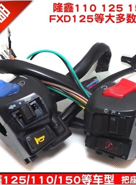 德国进口包邮三轮摩托车隆鑫110125150FXD125把座手把功能开关总