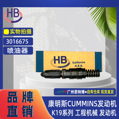 HB喷油器3016675 适用CUMMINS康明斯K19 工程机械 发动机喷油嘴