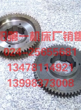 中捷摇臂钻床配件 Z3063*20 63019A 原厂钻床蜗轮 Z60 M3 6-80*20