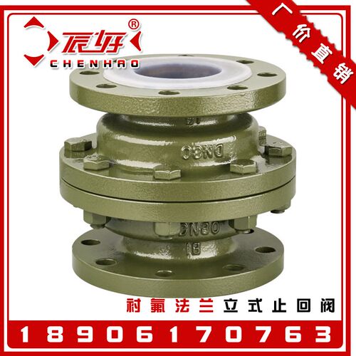 H42F46-16C铸钢衬四氟立式止回阀 升降式单向逆止阀门2寸4寸 DN50