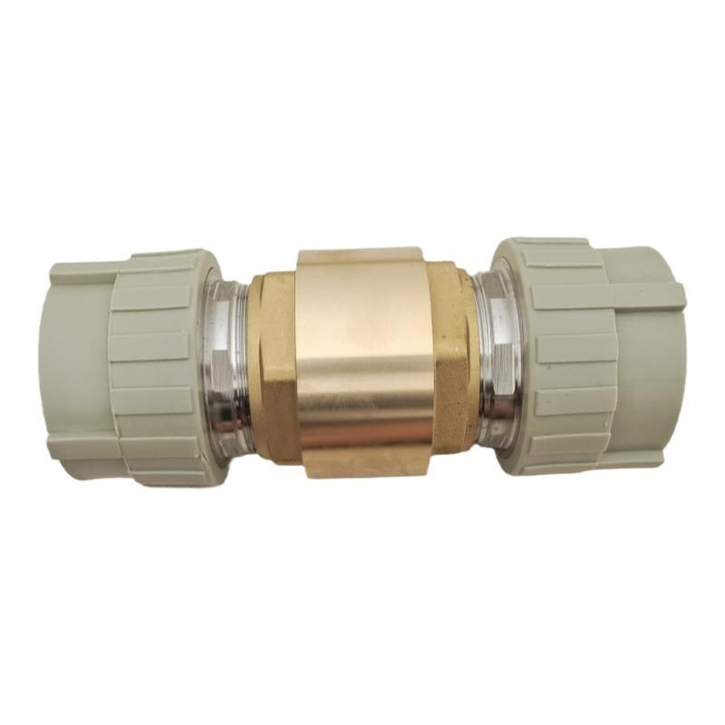 PPR止回阀止逆阀重型立式63 75 90 110 4寸回流防倒灌