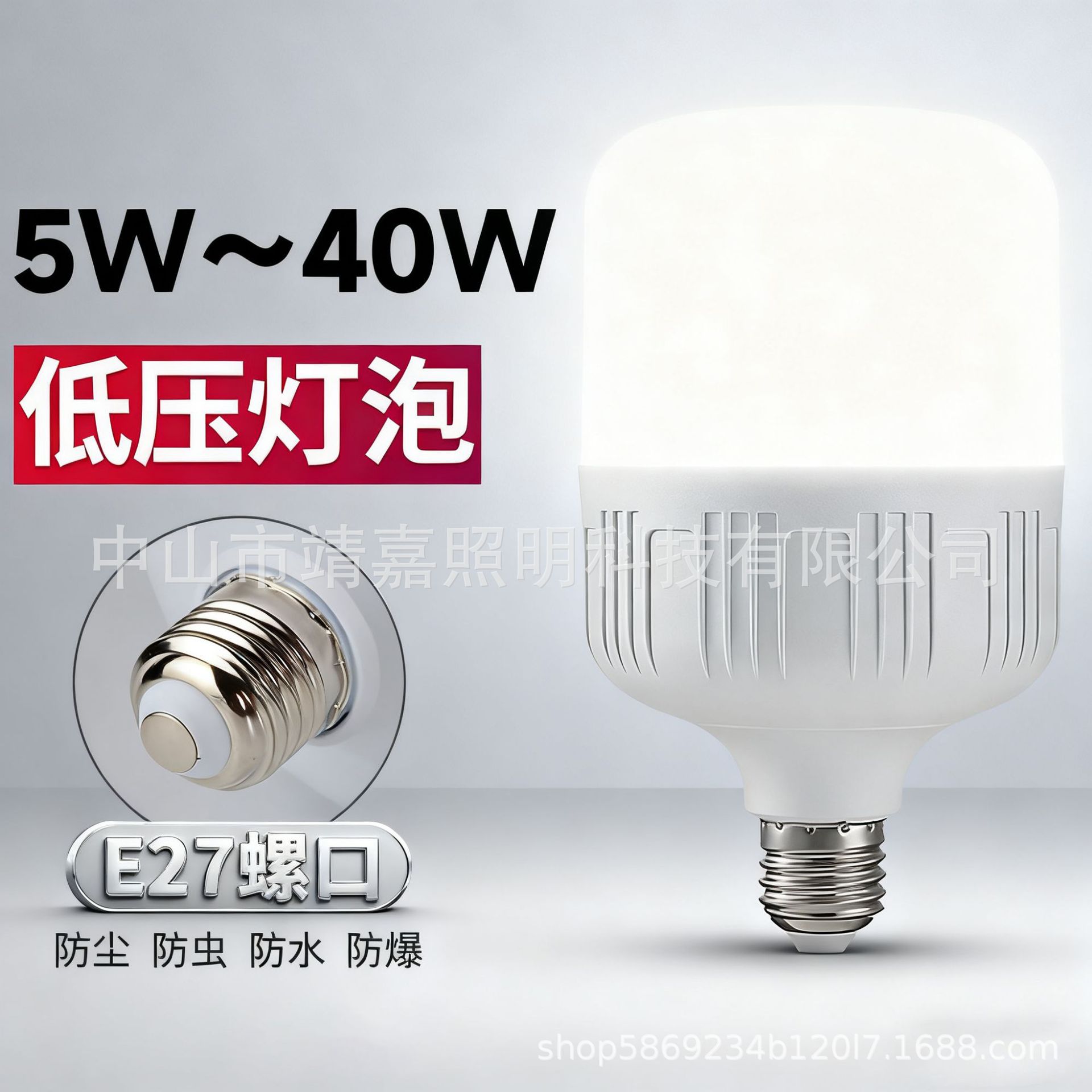 10W摆摊LED球泡灯12V-85V白光