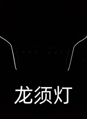 S红旗H5大U灯HHQ5HS7流光灯行HS3/PHE中网流水灯改装LED日V灯龙须