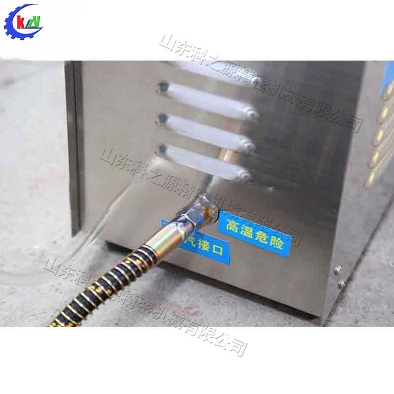 手提式蒸清洗机EKA汽便携式厨洗房卫生间无水清机家门政上清洗设