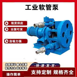 RGB25型大流量食品级不锈钢工业软管泵高浓度酸性粘稠液体输送泵