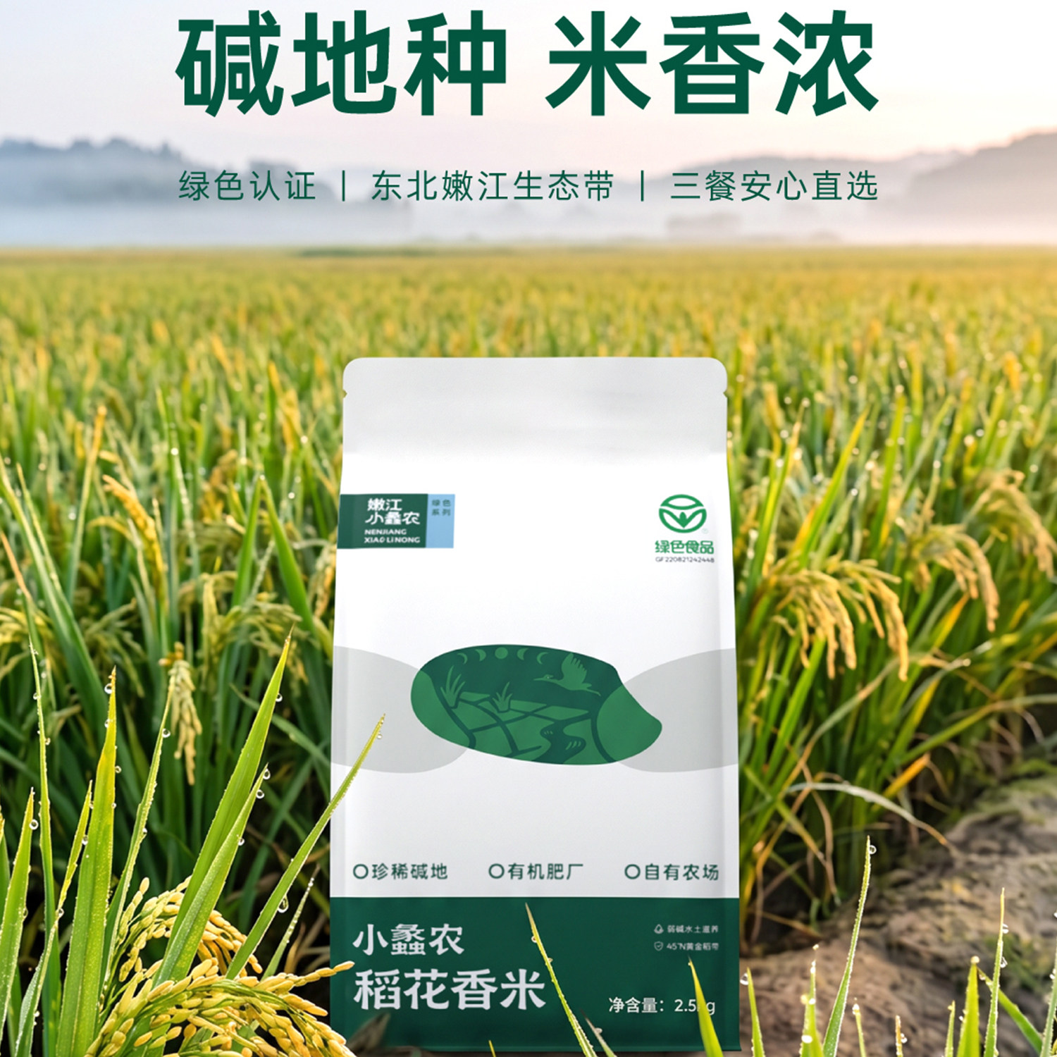 【交个朋友】碱地大米嫩江水灌溉东北绿色大米