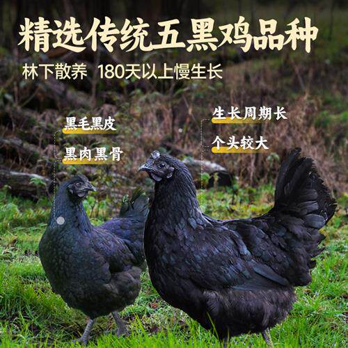 乌鸡蛋正宗农家散养绿皮柴山鸡蛋30枚整箱草笨绿壳土鸡蛋新鲜