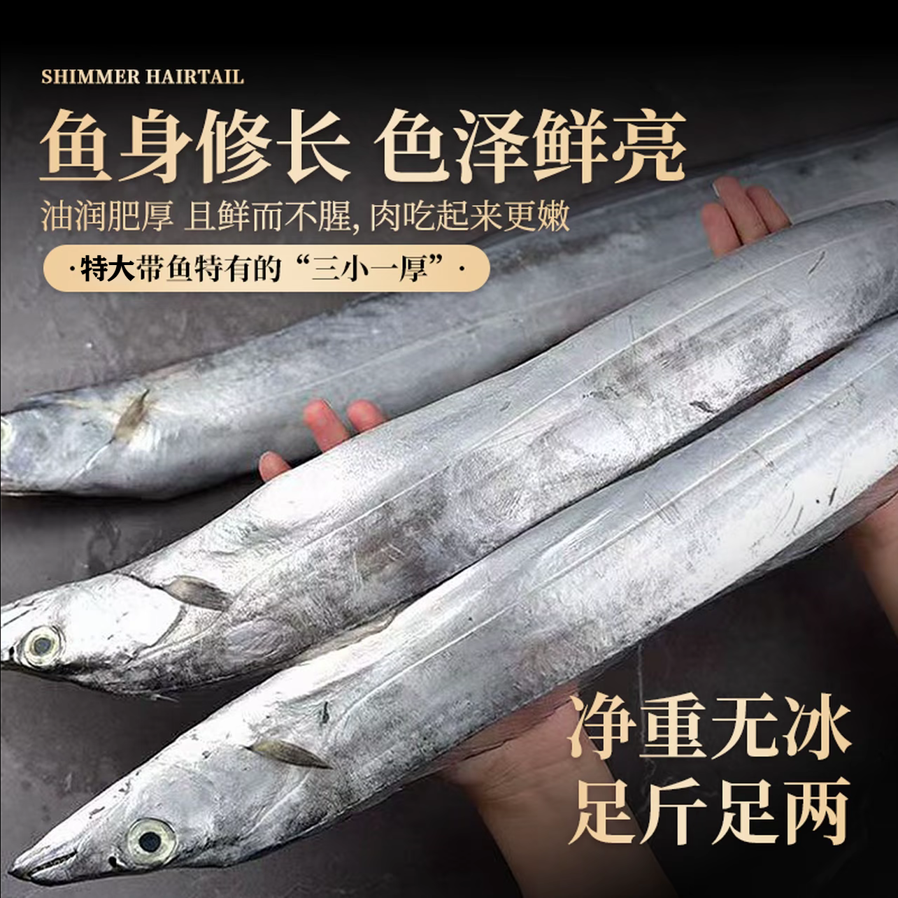 特大带鱼新鲜冷冻整箱10斤礼盒装舟山野生渤海湾刀鱼鲜活海鱼海鲜