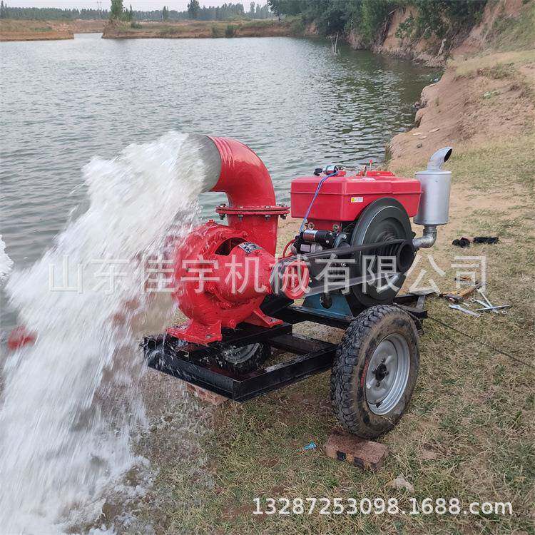农用小型油柴拖车排式抽水泵涝自FRX吸水泵扬高程喷灌泵 - 实物图
