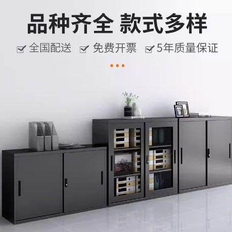 钢制办公室文件柜黑色铁皮矮柜财务资料档案柜阳台带锁书柜储物柜