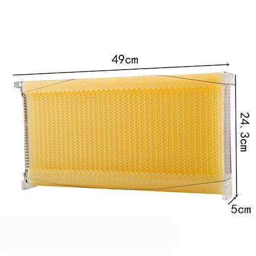 出口型P热销蜂具7CS自流蜜巢础蜂RJD料脾流蜜蜂箱自自动取蜜塑巢