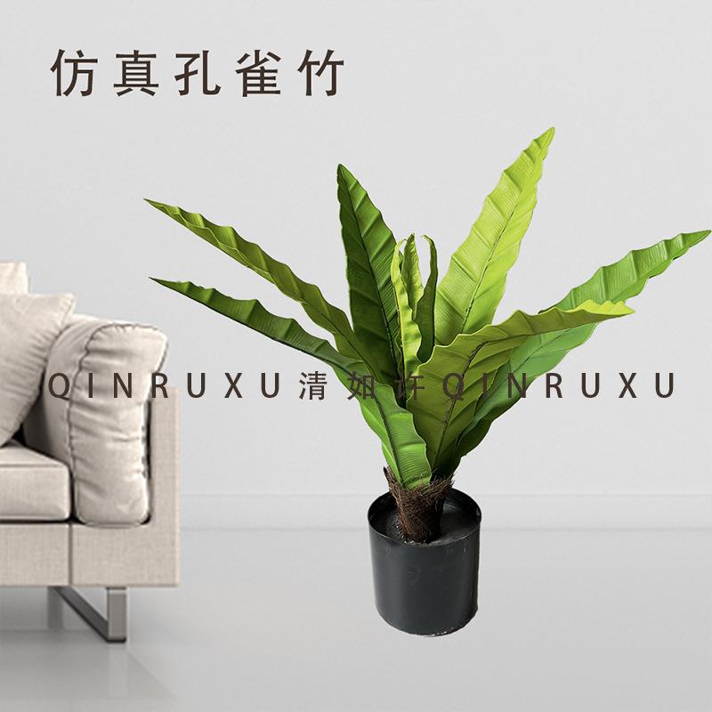 仿真叶家鸟巢蕨蕨外植物盆栽锯齿蕨绿植居室落地盆景现货孔雀装饰