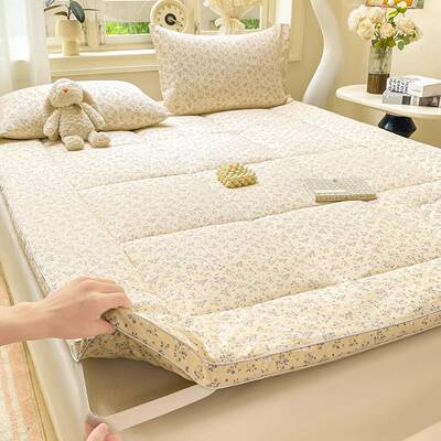 2025新云感木体棉皱皱纱双层纱棉花立床垫款类褥JJE子冬季加厚a宿