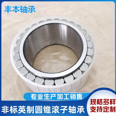 RSL183008齿轮减速轴承RSL18 3008 2307圆柱滚子轴承40*61.74*21m