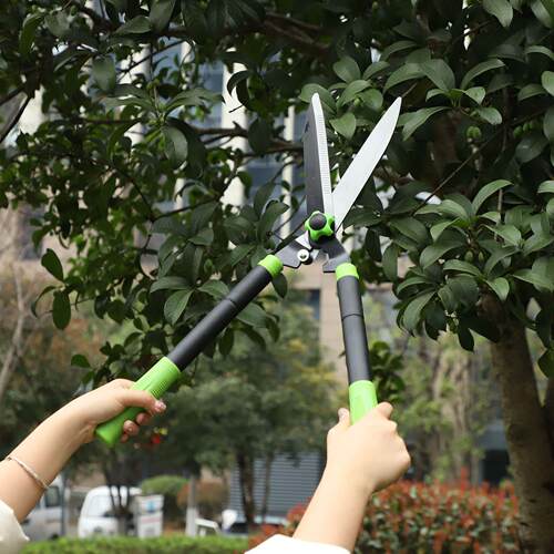 修枝剪园艺剪树枝剪园林绿化工具修绿篱笆剪可伸缩省力