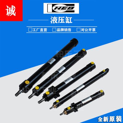 德国HEB圆柱形油缸 Z100-111-20/10/300-213/B1/S15 拉杆型液压缸