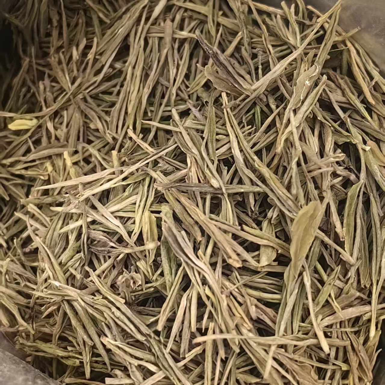 口粮黄化品种绿茶