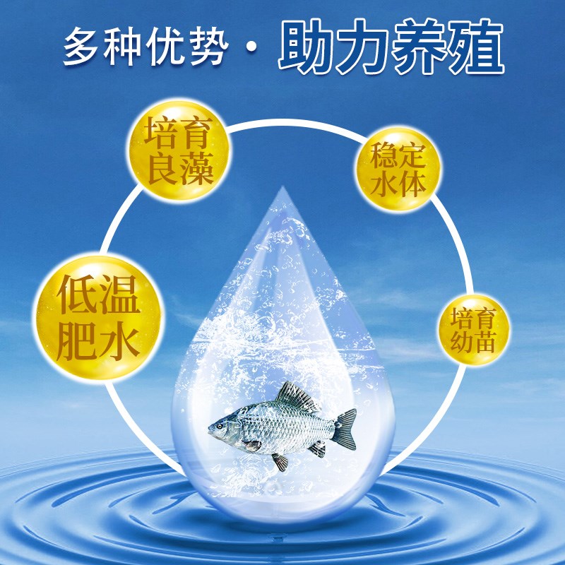 肥水藻立旺e水产养殖养鱼花白鲢速长肥鲢鳙大头鱼塘肥水王肥水膏