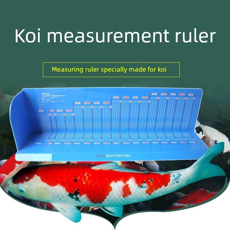 采购产品赤阪测量尺,锦鲤测量鱼尺,赤阪锦鲤测量尺,比赛,包装,包装胶带,淘宝优惠券,粉丝福利购,淘宝优惠卷