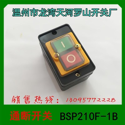 温州市龙湾天河罗山开关厂 通断开关 BSP210F-1B旋钮开关带塑料盒