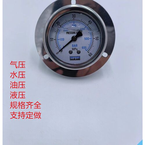 HFDY轴向带边耐震抗振真空压力表YN60ZT 40MPA/250BAR/1/4PT