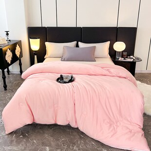 通用被芯秋冬被 天丝棉子母被大豆被空调被春秋棉被四季 被子 包邮