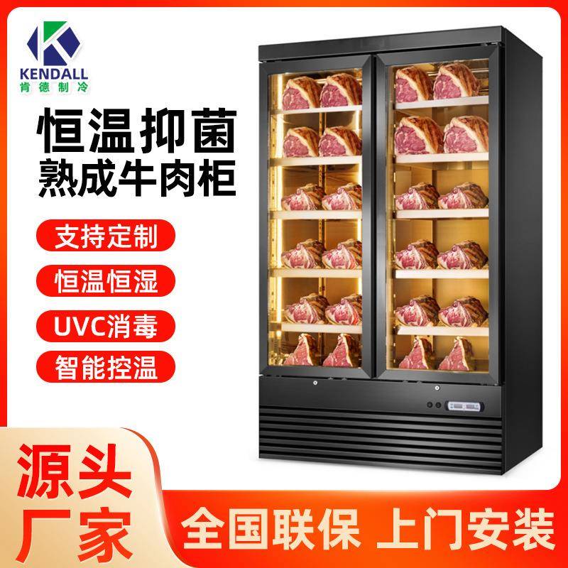 牛肉熟成柜商用牛排柜冷藏冷鲜展示柜干湿排酸柜西餐厅恒温柜冷冻